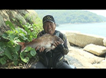 2508-2.jpg