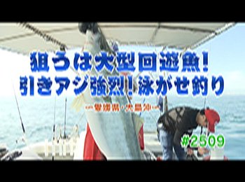 釣りごろ最新情報