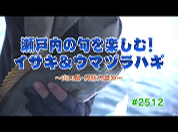 釣りごろ最新情報