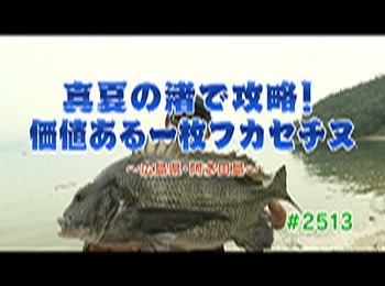 釣りごろ最新情報