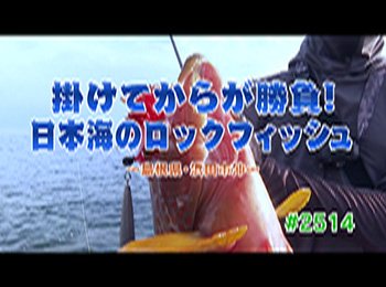 釣りごろ最新情報