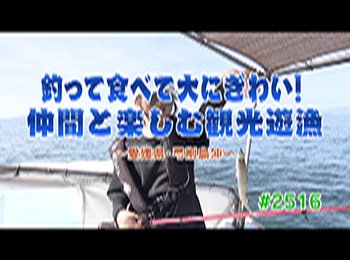 釣りごろ最新情報