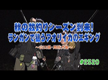 釣りごろ最新情報
