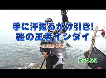 釣りごろ最新情報