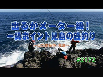 釣りごろ最新情報