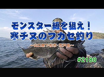釣りごろ最新情報