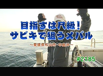 釣りごろ最新情報