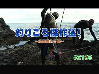 釣りごろ最新情報