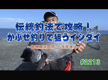 釣りごろ最新情報