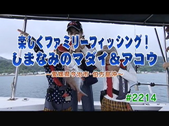 釣りごろ最新情報