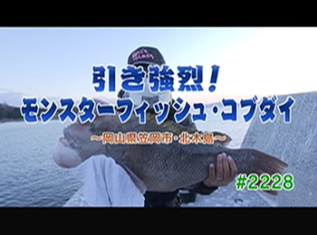 釣りごろ最新情報