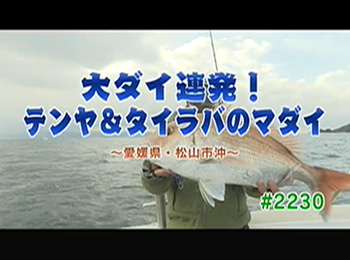 釣りごろ最新情報