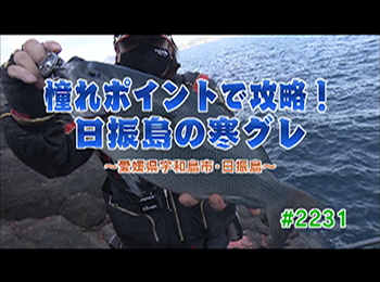 釣りごろ最新情報