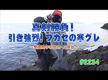 釣りごろ最新情報