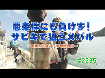 釣りごろ最新情報