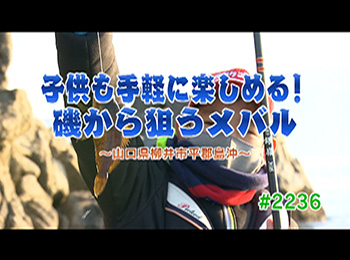 釣りごろ最新情報