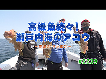 釣りごろ最新情報
