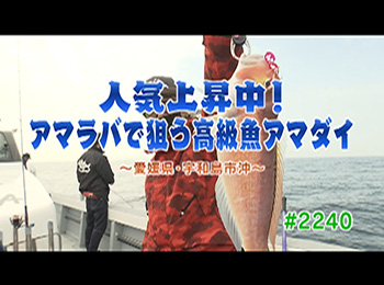 釣りごろ最新情報