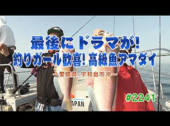 釣りごろ最新情報