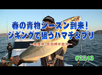 釣りごろ最新情報