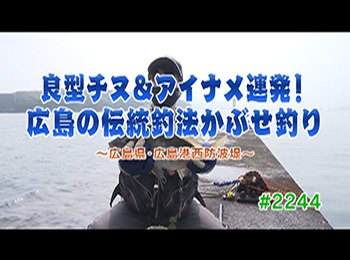 釣りごろ最新情報