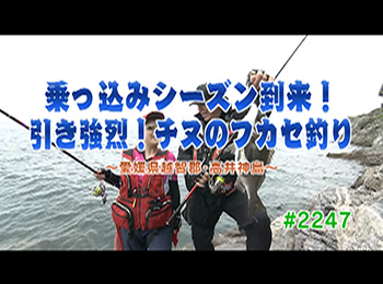 釣りごろ最新情報