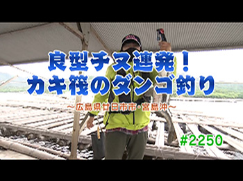 釣りごろ最新情報
