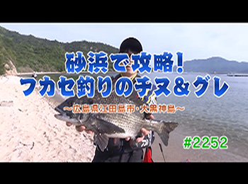 釣りごろ最新情報