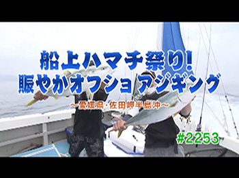 釣りごろ最新情報