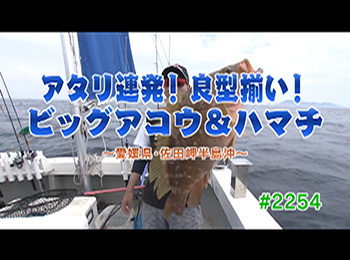 釣りごろ最新情報