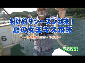 釣りごろ最新情報
