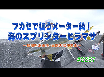 釣りごろ最新情報