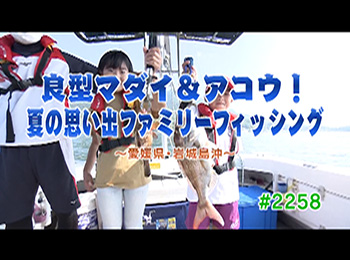 釣りごろ最新情報