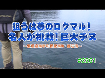 釣りごろ最新情報