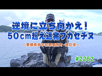 釣りごろ最新情報