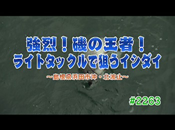 釣りごろ最新情報