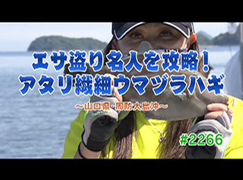 釣りごろ最新情報