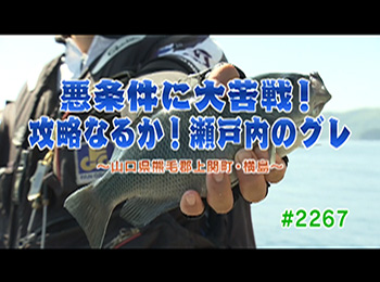 釣りごろ最新情報