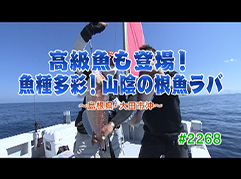 釣りごろ最新情報