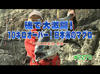 釣りごろ最新情報