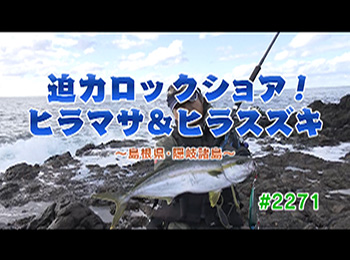 釣りごろ最新情報
