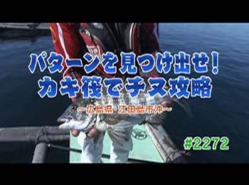 釣りごろ最新情報