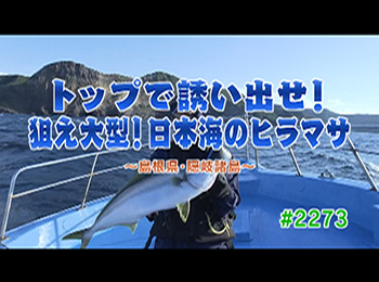 釣りごろ最新情報