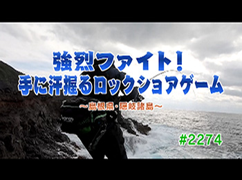 釣りごろ最新情報