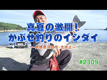 釣りごろ最新情報